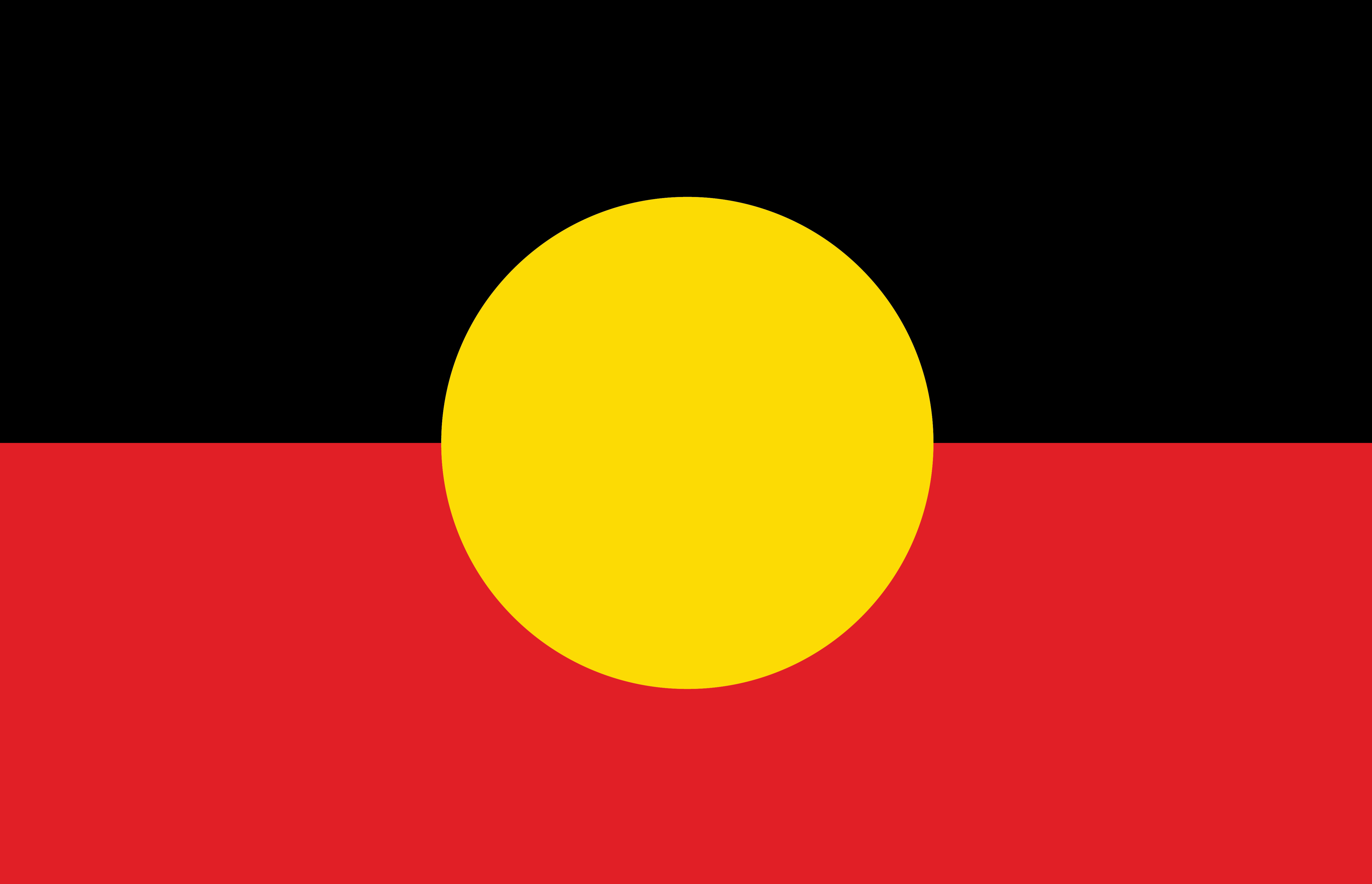 indigenous flag